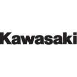 Fork/Swingarm Decal - Kawasaki - Black