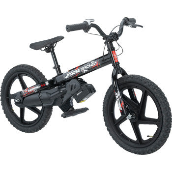 4901-0011 X01-A0101 Agroid RS-16 Balance E-Bike