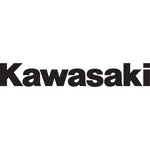 Die-Cut Decal - 3' - Kawasaki 09