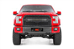 Mesh Grille | 30" Dual Row LED | Black | Ford F-150 2WD/4WD (2015-2017)