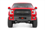 Mesh Grille | 30" Dual Row LED | Black | Ford F-150 2WD/4WD (2015-2017)