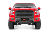 Mesh Grille | Ford F-150 2WD/4WD (2015-2017)